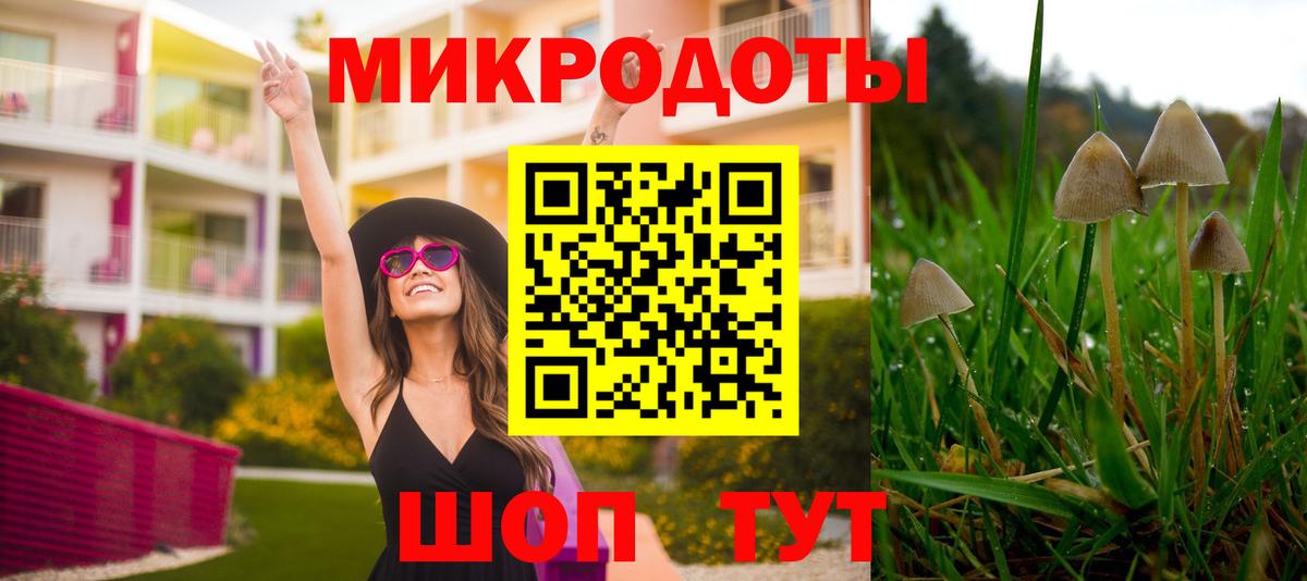 Псилоцибиновые грибы GOLDEN TEACHER  Вход с VPN  купить закладку  Строитель 